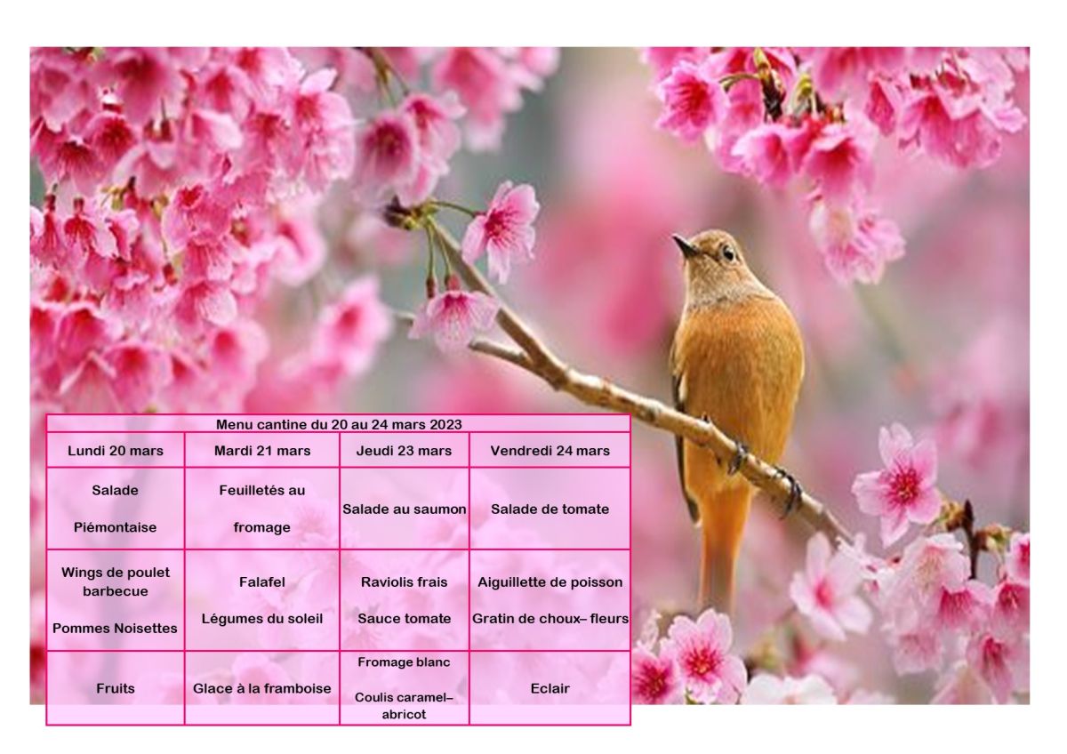 menu du 20 au 24 Mars #